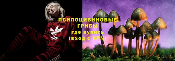 а пвп мука Богородск