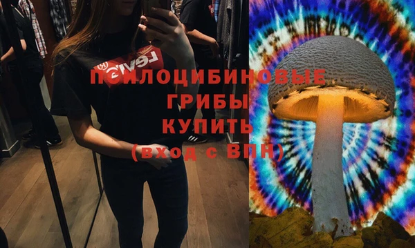 apvp Богородицк