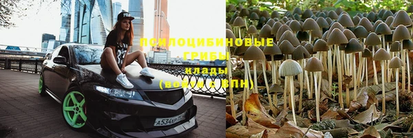apvp Богородицк
