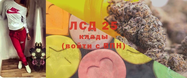 apvp Богородицк